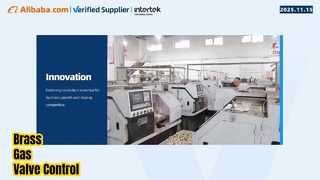 টিউবোমার্ট ব্রাস গ্যাস ভালভ/পাইপ/ফিটিংস কারখানা